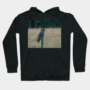 Great Grey Owl on a Post Hoodie